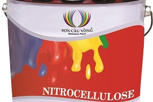 SƠN NC